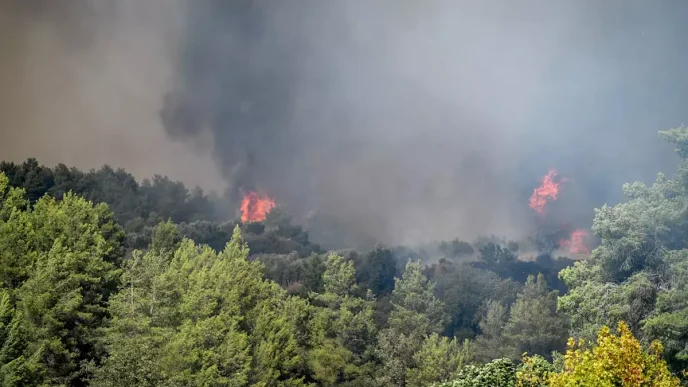 Ηλεία: βελτιώνεται η κατάσταση με τη φωτιά στο Γεράκι Αμαλιάδας