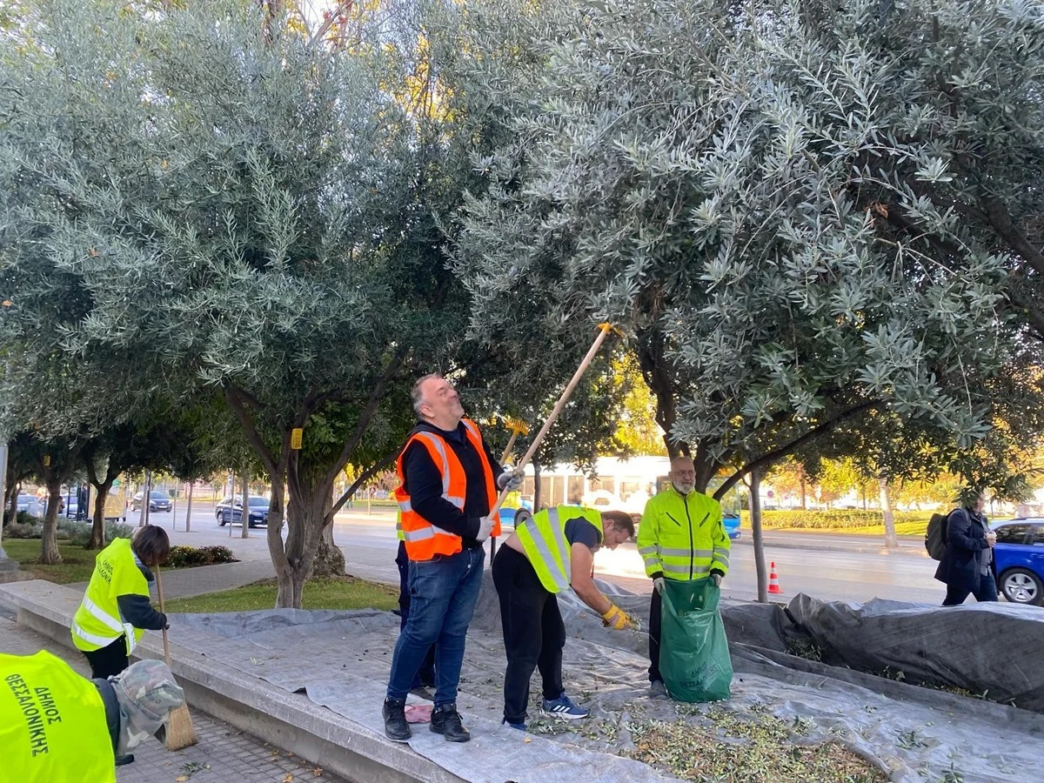 Ο Δήμος Θεσσαλονίκης παράγει το πρώτο του "εξαιρετικά παρθένο ελαιόλαδο"